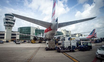 Depósitos verticales, la solución para evitar la congestión en el Aeropuerto de Miami