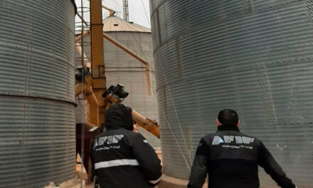 La AFIP detectó faltantes de granos por 188 millones de pesos en una planta de acopio
