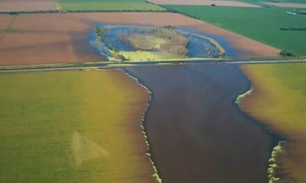 Estudio de CONICET dice que las inundaciones están relacionadas con los cambios en el uso de la tierra