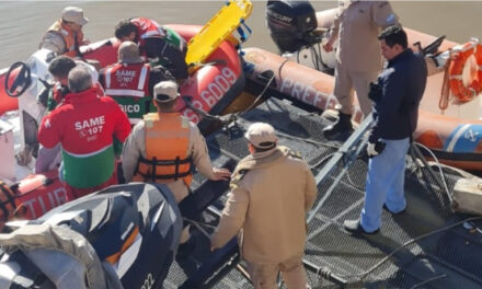 Puerto Madero: rescataron a una joven que cayó al agua desde el Puente de la Mujer