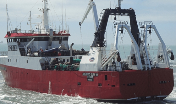 Puerto Ushuaia: Fuerte caída en la actividad pesquera 