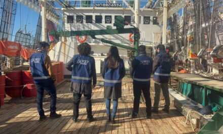 Puerto Galván: Aduana secuestró artículos de pesca irregulares por $7,5 millones