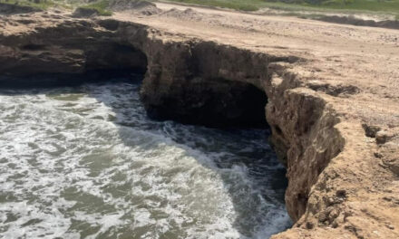 La Provincia busca hacer un proyecto para mitigar la erosión costera en Quequén