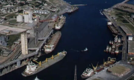 Puerto Quequén: ingresaron 21 buques y aumentó las toneladas exportadas