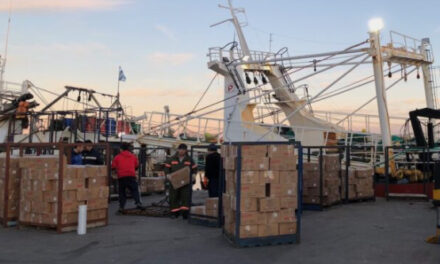 Estibadores paralizan los puertos argentinos