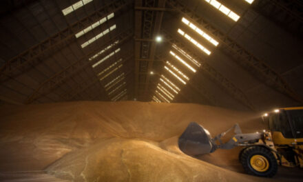 Cómo se maneja el ‘turbio’ mundo del comercio mundial de granos 