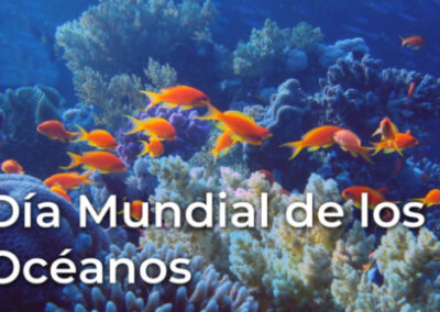 El Día Internacional de los Océanos y la necesidad de una estrategia marítima nacional