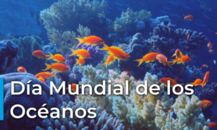 La OMI insta a pasar de las políticas a la acción para proteger el medio marino