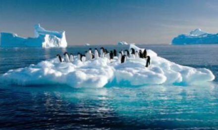 ¿Cómo afecta el cambio climático a los océanos del planeta?