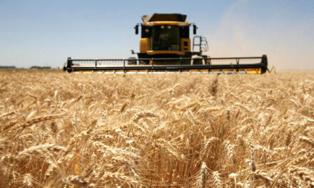 Cuatro indicadores del sector agroindustrial que le ponen números a la sequía
