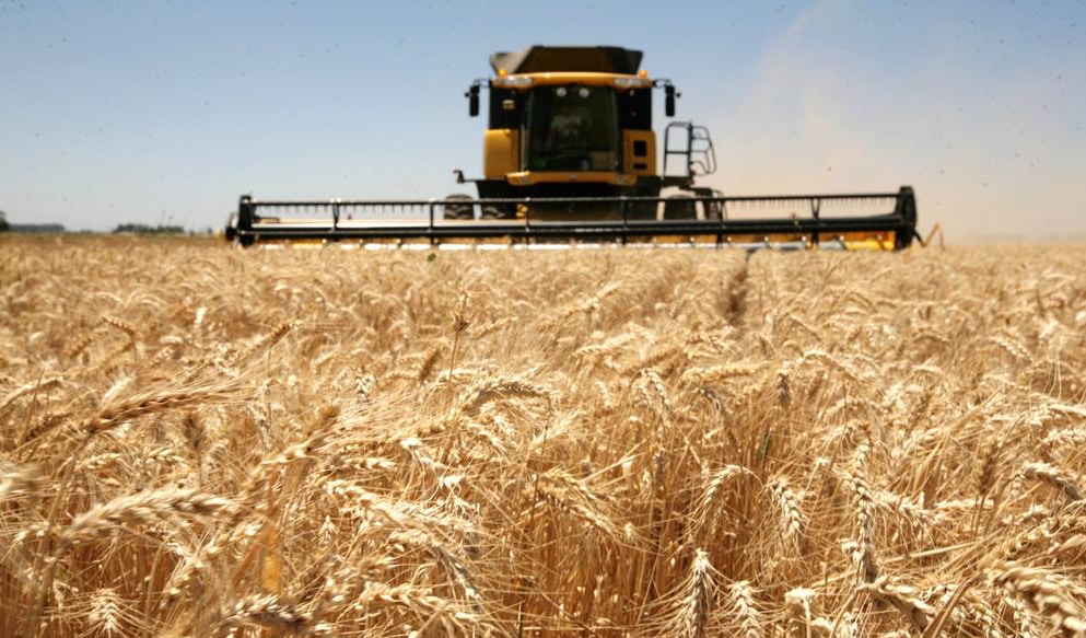 Cuatro indicadores del sector agroindustrial que le ponen números a la sequía