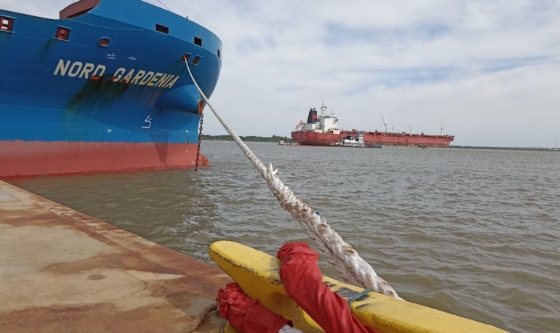 Hay avances en el Paraná Guazú 