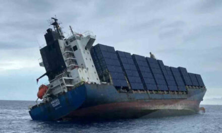 Se hunde un barco porta contenedores en el puerto taiwanés de Kaohsiung