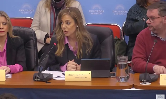 Se presentó los lineamientos del proyecto de ley para la Promoción del GNL