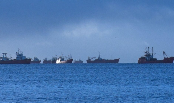 Puerto Madryn: Más de 50 barcos encuentran refugio en el Golfo Nuevo ante el alerta meteorológico por fuertes vientos