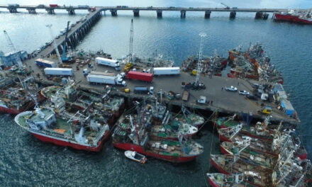 Puerto Madryn: Rehabilitan el Sitio 4 del Muelle Almirante Storni 