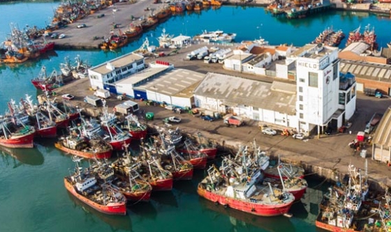 Nuevo reglamento para la estadía de embarcaciones en el puerto de Mar del Plata entra en vigencia