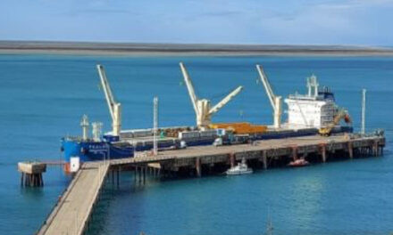 El puerto de Punta Quilla recibirá granos para el sector ganadero desde el Puerto de Bahía Blanca