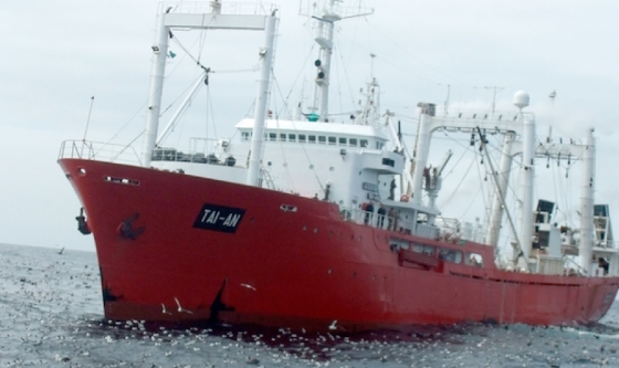 Ushuaia:  legisladores piden información sobre pesca ilegal