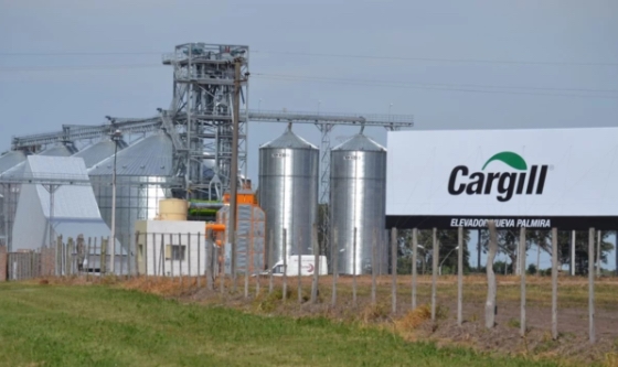 Cargill anunció que se quedó sin lugar para almacenar maíz
