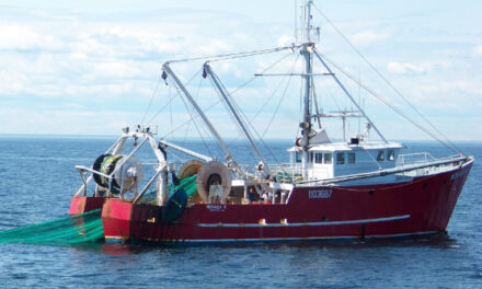 Iniciativas que podrían fortalecer la industria pesquera en Argentina hacia el año 2030