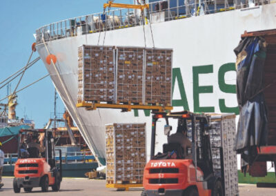Puerto San Antonio Este: exportó aproximadamente 120 mil toneladas de fruta
