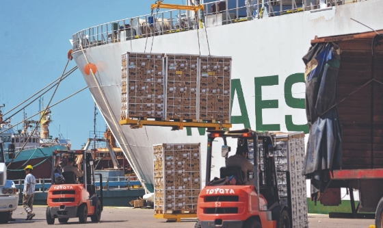 Puerto San Antonio Este: exportó aproximadamente 120 mil toneladas de fruta