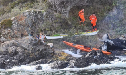 Rescate exitoso de tripulante de pesquero y kayakistas en situaciones de emergencia marítima