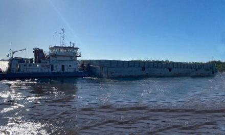 El Puerto de Posadas establece conexión directa con el Puerto de Zárate, prometiendo agilizar la logística regional