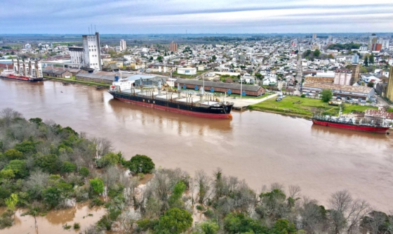 Puertos de Entre Ríos:  Aumento de exportaciones de madera a la India