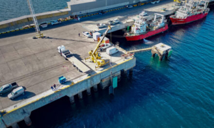 Puerto Madryn: Avanzan obras de Infraestructura para garantizar la seguridad portuaria