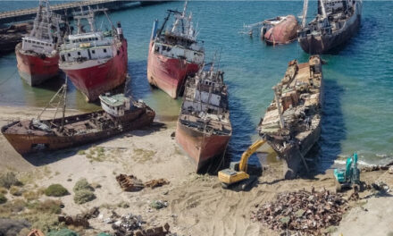 Extracción, desguace y disposición final de buques en Puerto Madryn: un logro en beneficio del medio ambiente y la comunidad