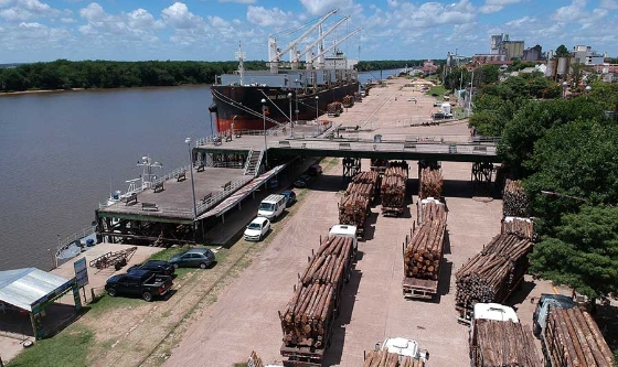 Los puertos entrerrianos registran una histórica actividad portuaria en 2023