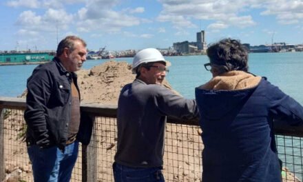 Puerto Mar del Plata apoya iniciativa que favorece la permanencia de lobos marinos en la escollera sur