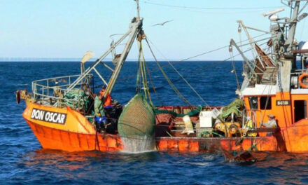 Puerto Rawson:  Flota Amarilla y el SOMU acuerdan aumento salarial para la temporada de langostino