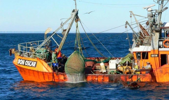 Puerto Rawson:  Flota Amarilla y el SOMU acuerdan aumento salarial para la temporada de langostino