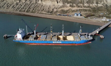 Arribó en Punta Quilla una nueva turbina para las represas en el río Santa Cruz