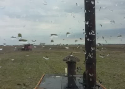 Lluvias: un rayo de esperanza para los productores de la zona núcleo