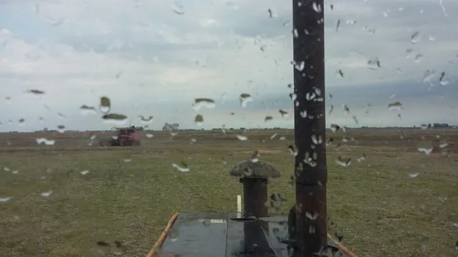 Lluvias: un rayo de esperanza para los productores de la zona núcleo