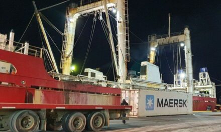 La actividad pesquera cayó 35,63% en el puerto de Ushuaia