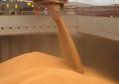 Lluvias renuevan expectativas: Argentina proyecta USD 20.000 Millones en exportaciones de soja