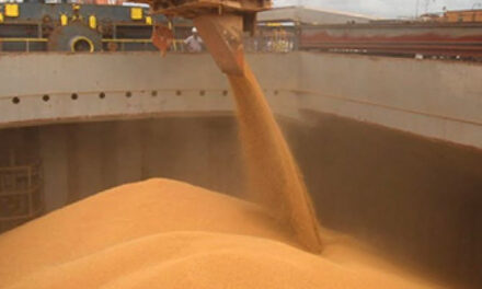 Lluvias renuevan expectativas: Argentina proyecta USD 20.000 Millones en exportaciones de soja