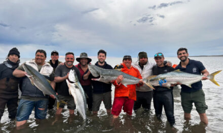 Trabajo de campo y colaboración en pesca artesanal en Puerto Madryn