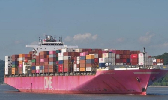 Accidente en el Canal de Suez paraliza el tráfico marítimo