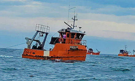 Se hunde el Pesquero Artesanal «Foca M» en Rawson
