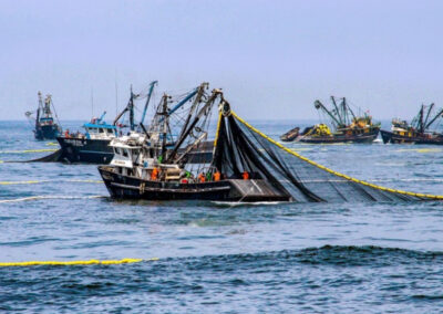 Preocupación por cambios sustanciales al Régimen Federal de Pesca
