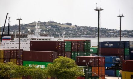 Crisis en el Puerto de Montevideo afecta al comercio paraguayo