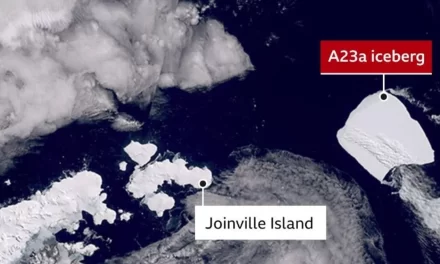 El iceberg más grande del mundo se dirige hacia Argentina