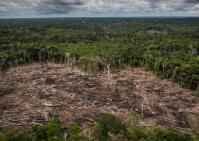 VISEC: la plataforma argentina para la trazabilidad de productos libres de deforestación