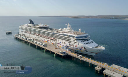 Puerto Madryn: Buscan que el paro del 24 de enero no impida la llegada de dos grandes cruceros